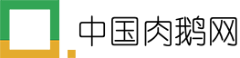 中国肉鹅网